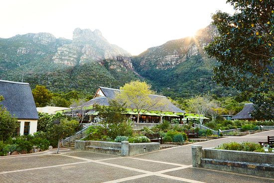 Fynkos Kirstenbosch Tea Room