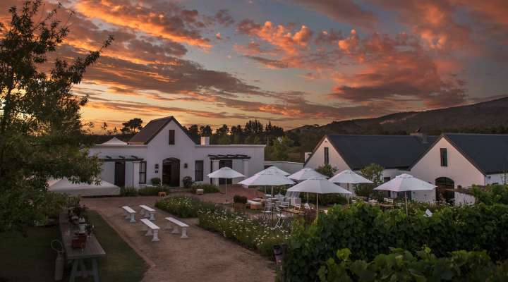 Newstead Lund Family Vineyards