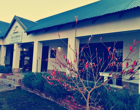 BisiBean Coffee Roasting Co.