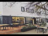 The Whippet in Linden