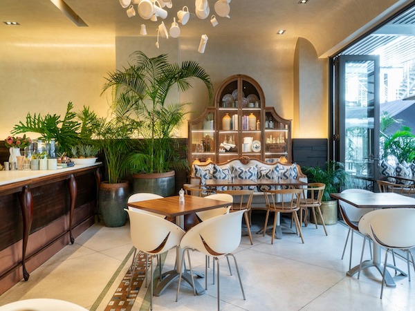 tashas Brooklyn
