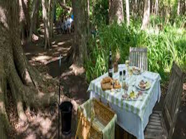 Vergelegen Wine Estate showcase 1