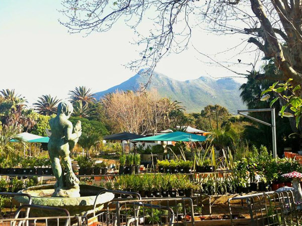 Ellie's Deli at the Noordhoek Garden Café