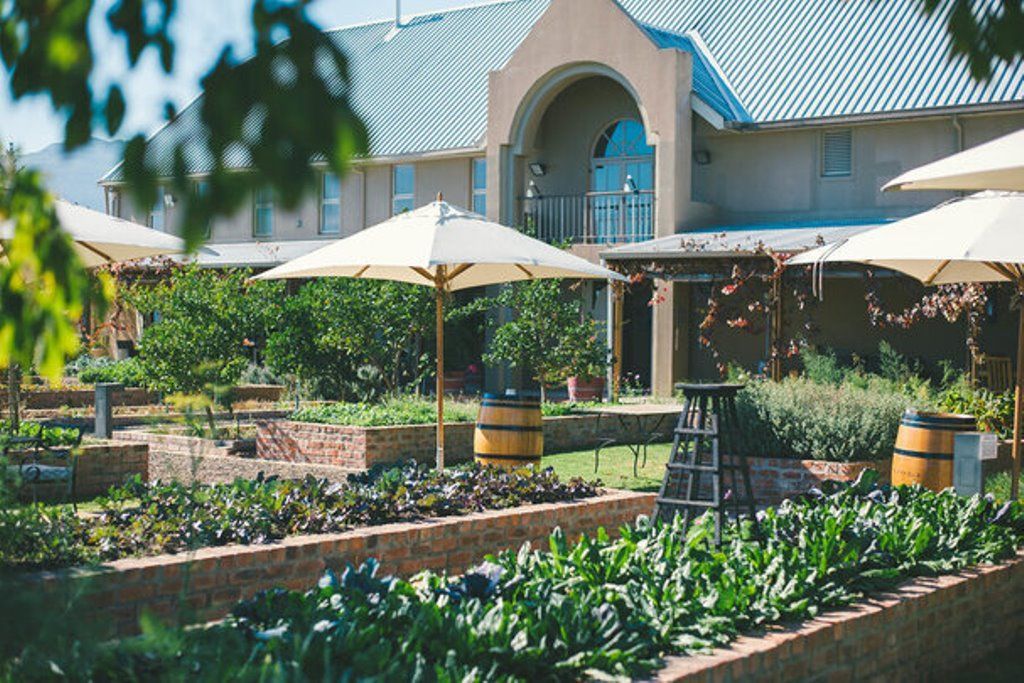 Longridge Wine Estate
