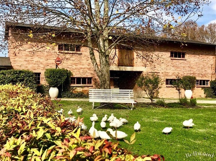 Bellwood Cottages & Wedding Venue