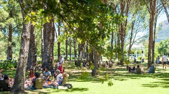 Boschendal Werf Picnics