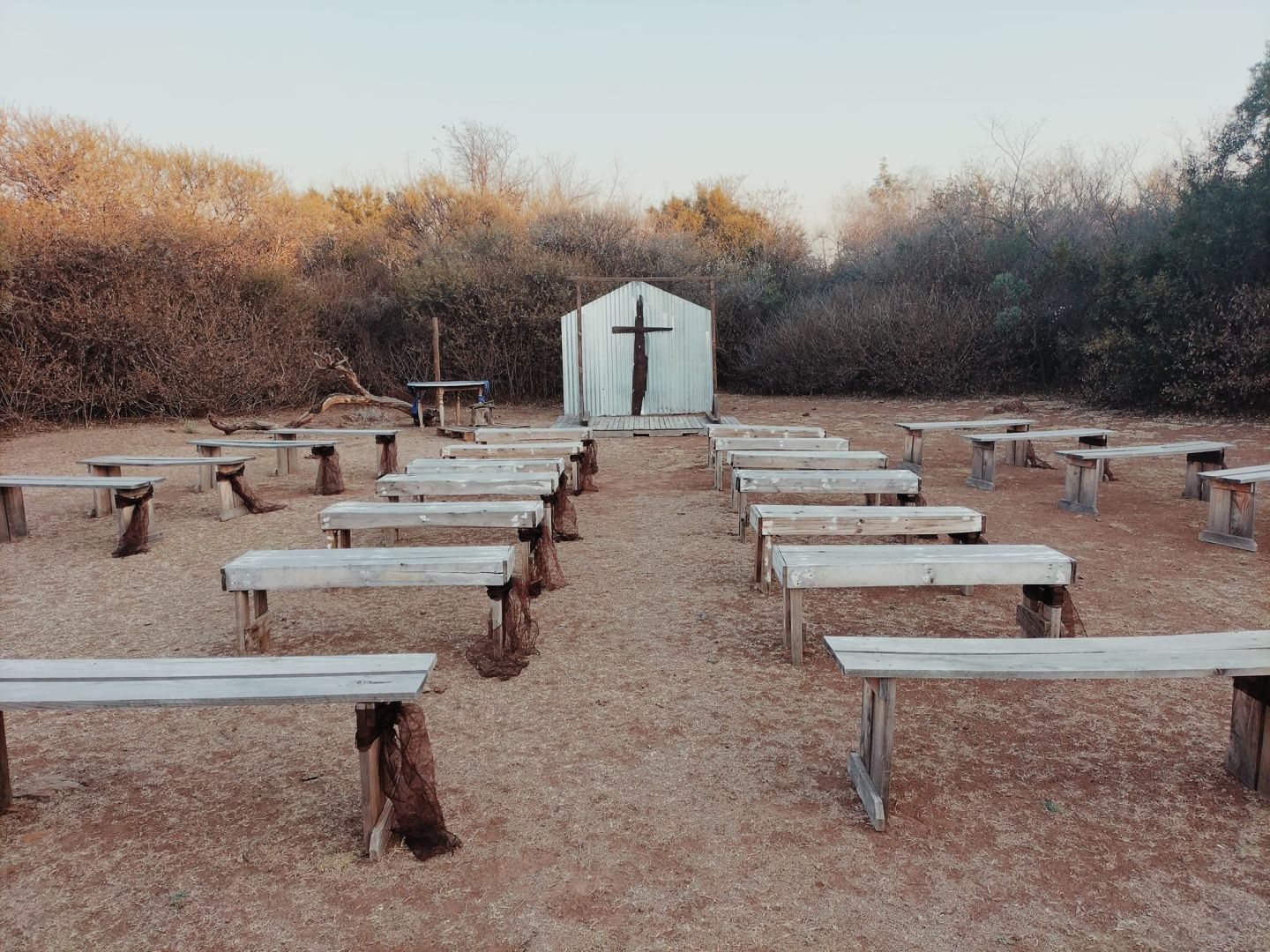 Vachellia Karroo Venue