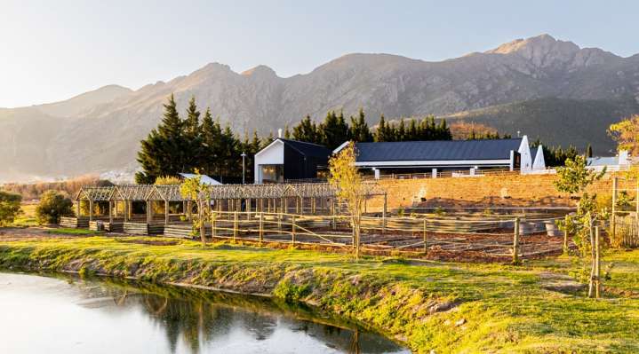 Backsberg Family Wines