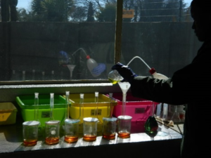 Scrooby's Laboratory Service CC in Rynfield Benoni