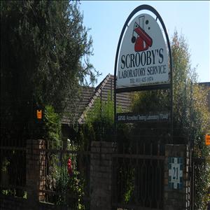 Scrooby's Laboratory Service CC in Rynfield Benoni