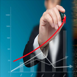 Elasah Risk Consultants showcase 1