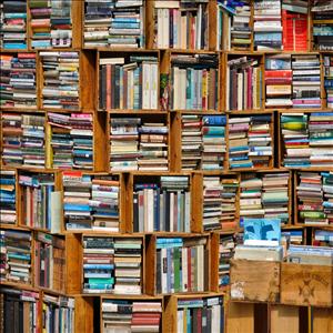 Books Galore showcase 1
