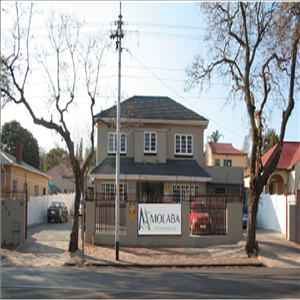 Tsebane Molaba Inc showcase 1