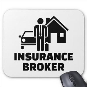 Walter Kranz Insurance Brokers CC showcase 1