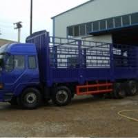 Cynep Express Logistics showcase 1