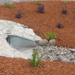 Servest Landscaping showcase 1