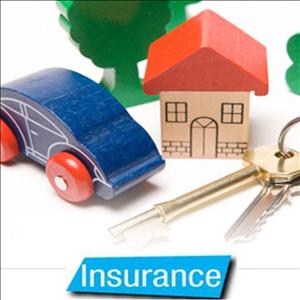 Delzet Insurance showcase 1