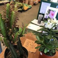 Plant Ranch (Germiston) showcase 1