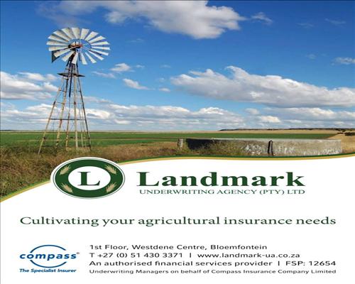 ONE Insurance showcase 1