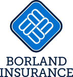 Borland Financial Services Group (Pty) Ltd showcase 1