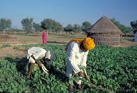 Rapid Agricultural Brokers showcase 1