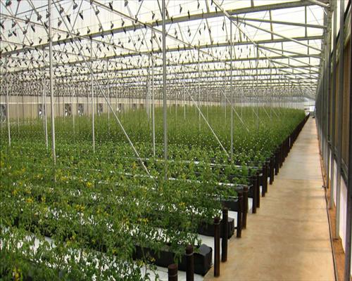 Waterfall Irrigation showcase 1