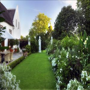 Stellenberg Gardens Nursery showcase 1