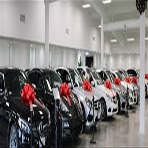 L B Motors showcase 1