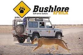 Bushlore Africa CC showcase 1