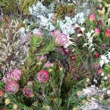 Garden Route Botanical Garden showcase 1
