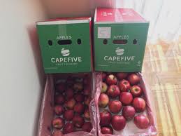 Cape Five Export (SA) (Pty) Ltd showcase 1