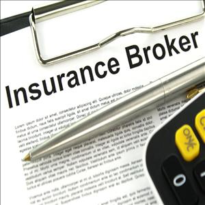 Darsha Insurance Brokers CC showcase 1