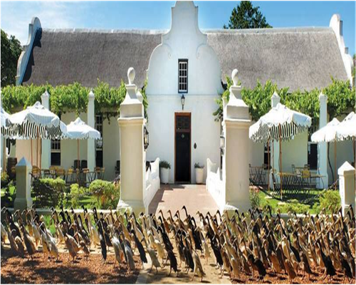 Stellenbosch Wine Route The showcase 1