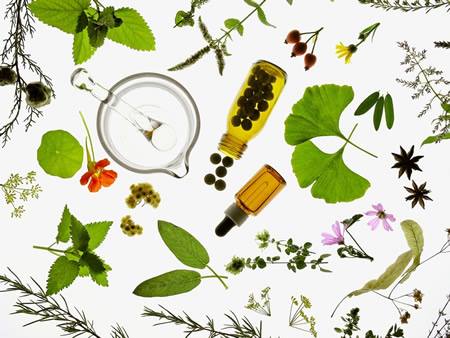 Natural Medicine Centre showcase 1