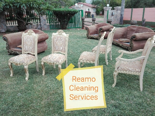 Reamo Business Enterprise showcase 1