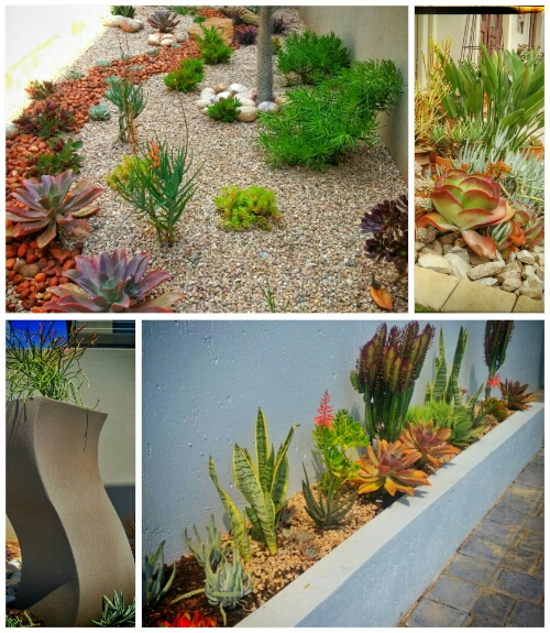 DG Landscapes showcase 1