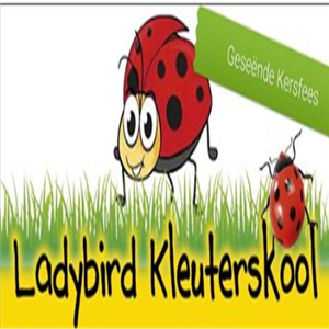 Kleuterskool Ladybird showcase 1