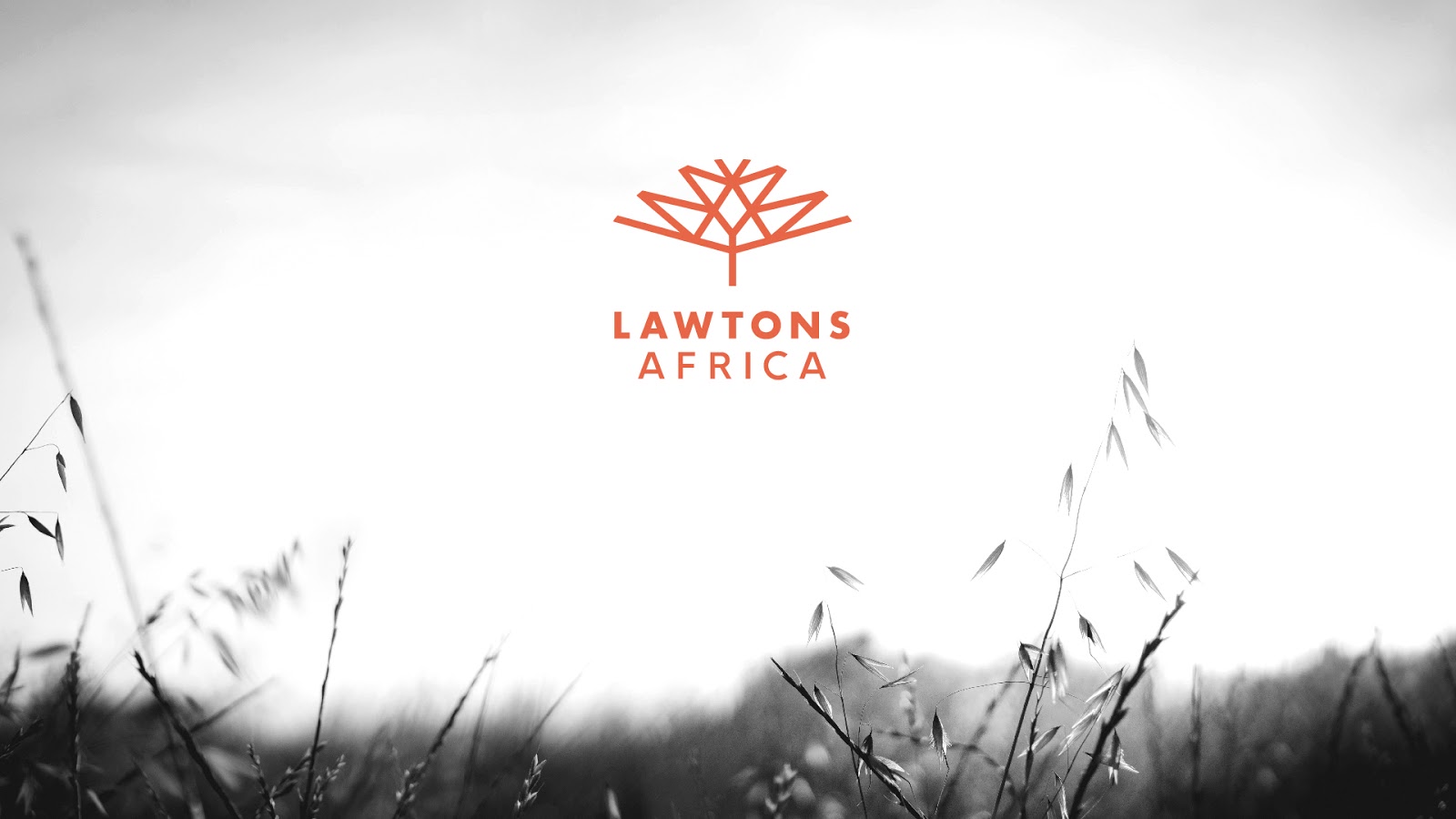 Lawtons Africa showcase 1