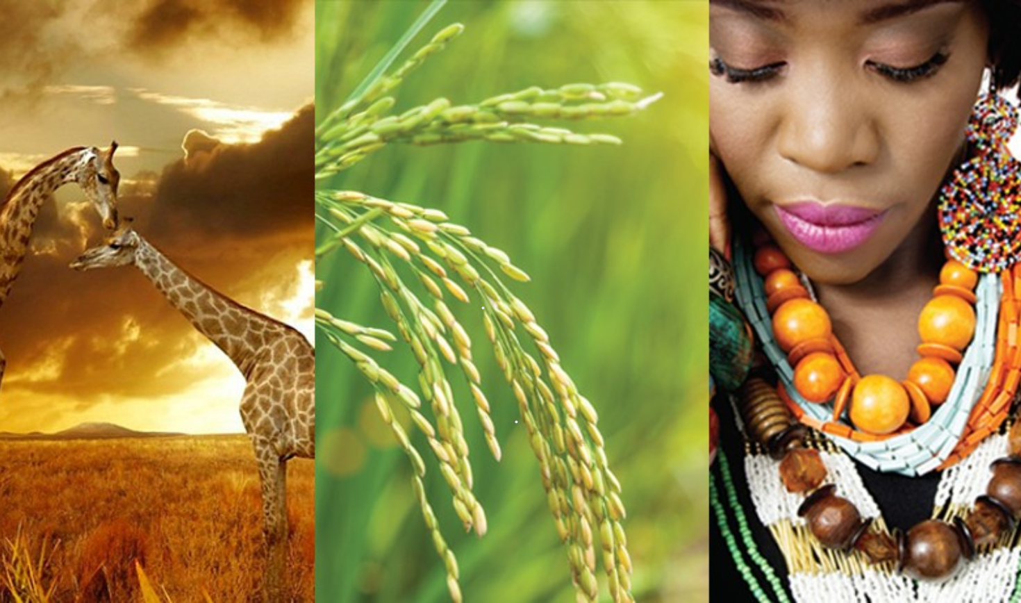 Economic Development, Environment & Tourism (Musina) showcase 1