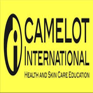 Camelot International (Pty) Ltd showcase 1