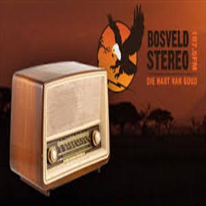 Bosveld Stereo showcase 1