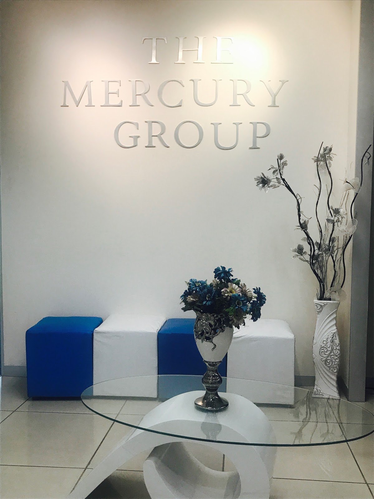 Blue Mercury Financial Services showcase 1