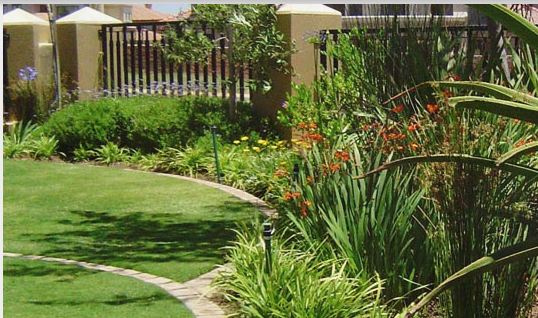 Y Z Gardens showcase 1