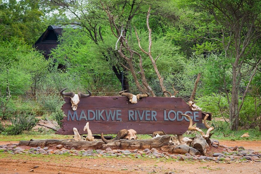Madikwe River Lodge showcase 1
