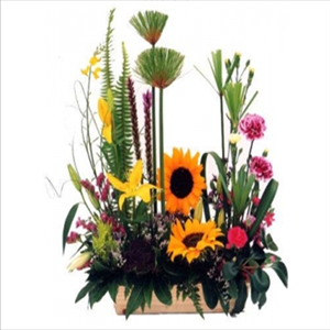 Heavenly Flowers showcase 1