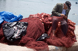 Fisherman's Net Pre-School & Pre-Primary showcase 1